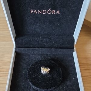 Pandora Sterling Silver "My Sweet Pet" Heart w Paw Prints